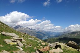 Bergklub: Piz da la Margna (3159 m.ü.M.)