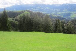 Bergklub: Napf (im Emmental) (1408 m.ü.M.)