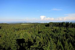 Bergklub: Chutzenturm (45m) (820 m.ü.M.)