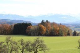 Bergklub: Islisberg (680 m.ü.M.)